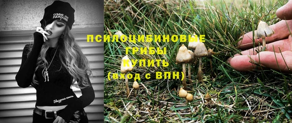 МДПВ Алзамай