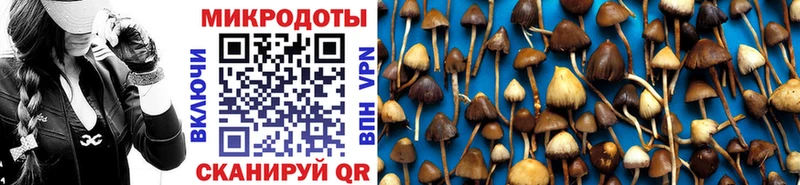 Галлюциногенные грибы Cubensis Саров