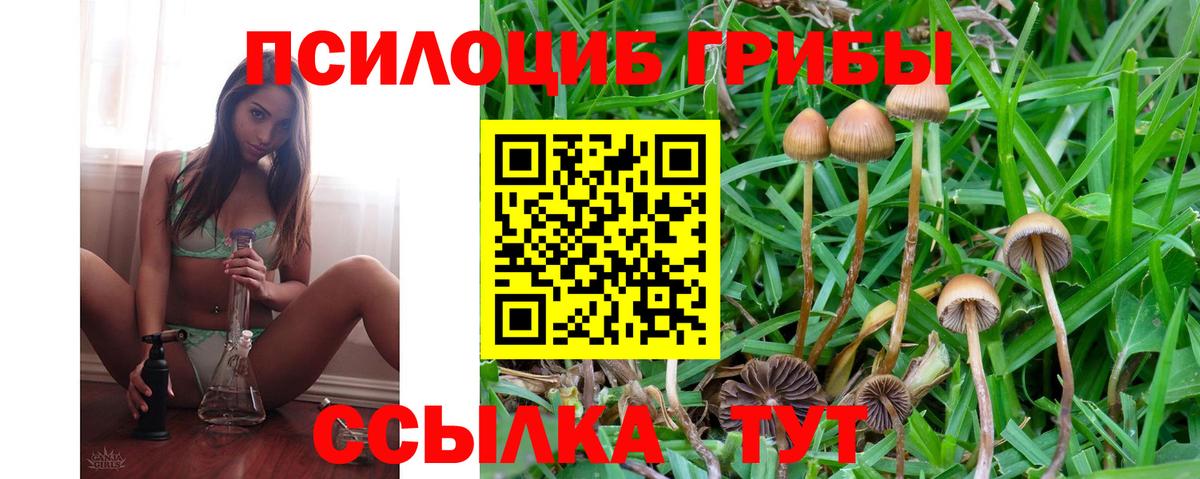 Саров  Псилоцибиновые грибы мухоморы  Вход с VPN 